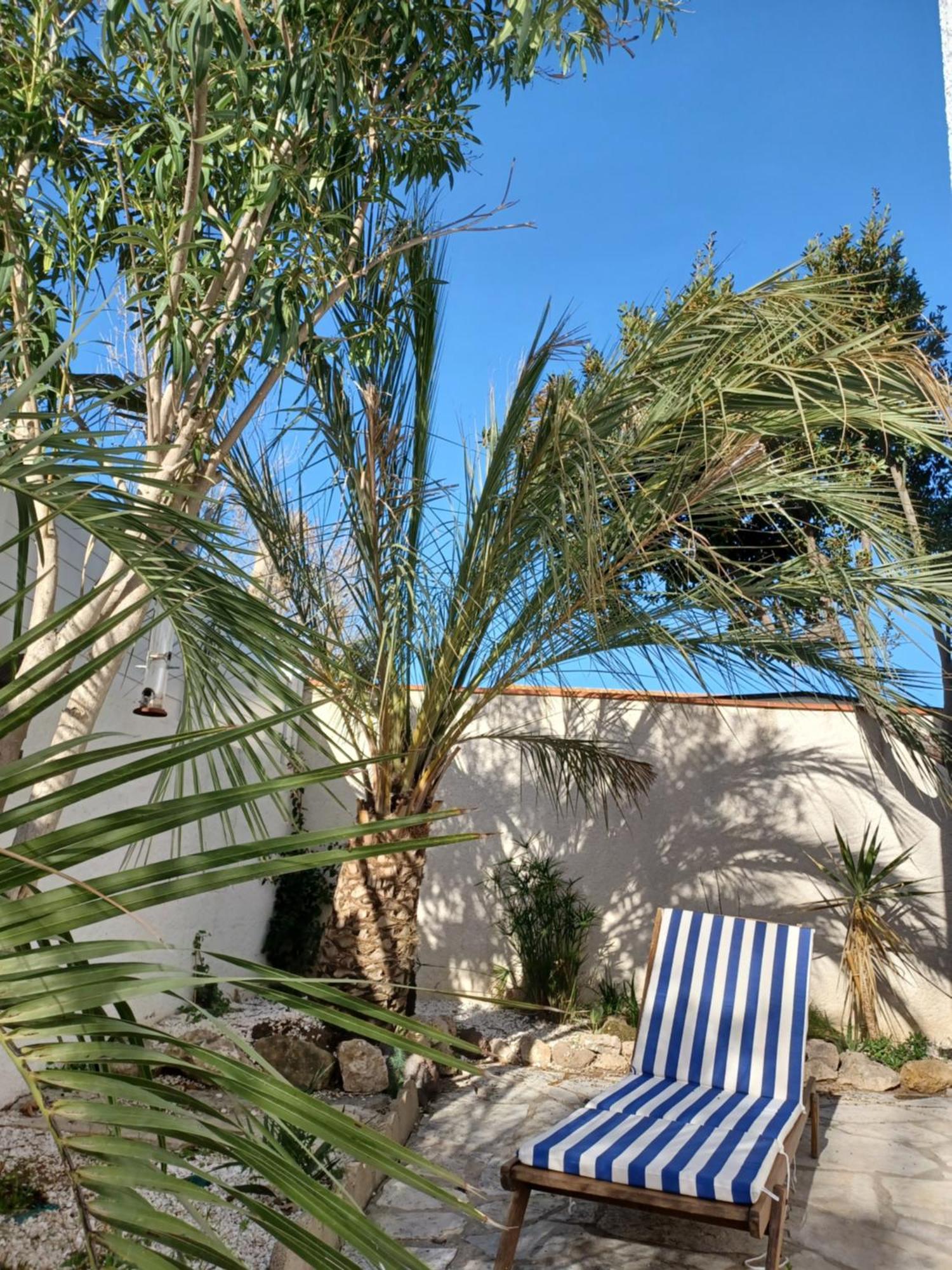 Appartement Avec Jardin Et Spa فالراس بلاج المظهر الخارجي الصورة
